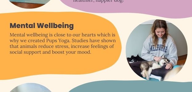 The Healing Power of Yoga With Puppies in London