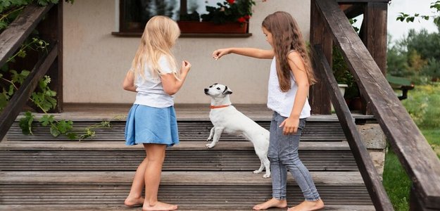 Discover the Best Invisible Dog Fence Systems in Richmond and Virginia Beach with Pet Stop