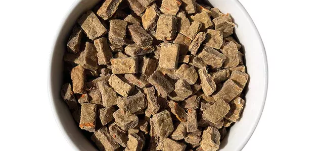 Everything you should know about dry dog food