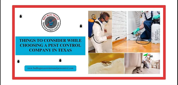 Things to Consider While Choosing a Pest Control Company in Texas