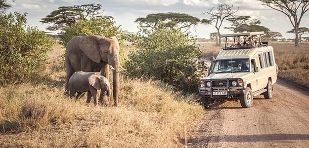 Explore Africa with Ngasini Travel: The Complete Guide to Tanzanian and Zanzibar Vacation Packages