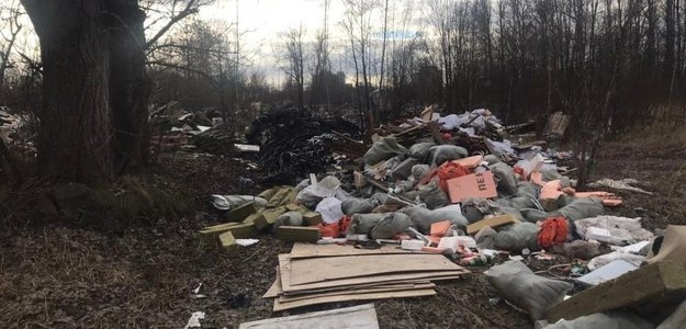 Команда Гульчука ковыряет собачий кал, вместо уборки свалок, за 150 млн рублей