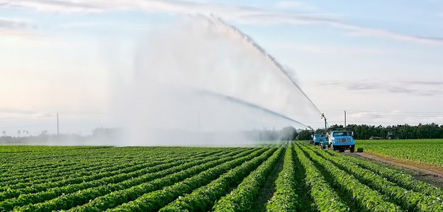 local Irrigation