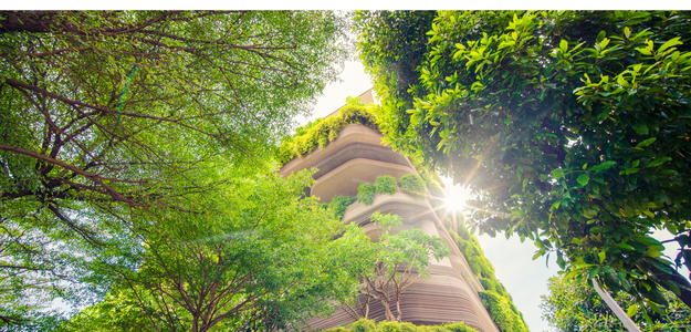 The Environmental Impact of Cladding: Sustainable Choices for a Greener Future