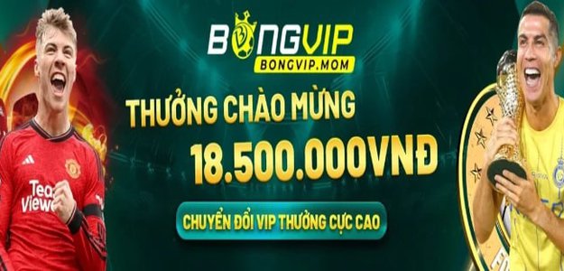 BongVip