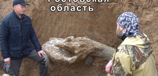 На берегу Таганрогского залива нашли мамонта