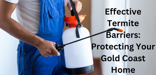 Effective Termite Barriers: Protecting Your Gold Coast Home