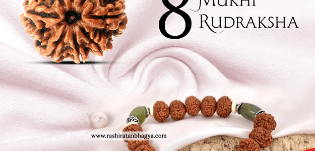 Buy 8 Mukhi Rudraksha Beads Online at Rashi Ratan Bagya