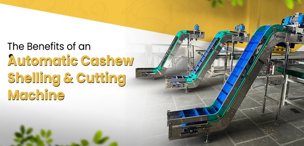 The Benefits of an Automatic Cashew Shelling and Cutting Machine