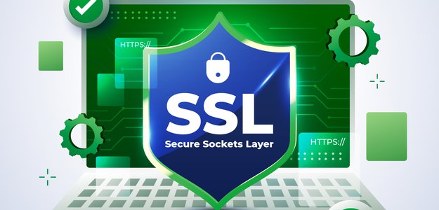 Is an SSL Certificate Required for My Domain: How Can You Get One?