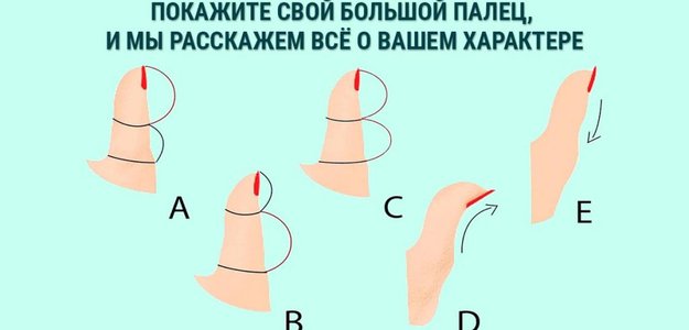 Покажите свой большой палец, и мы расскажем всё о вашем характере! Как работает физиогномика?