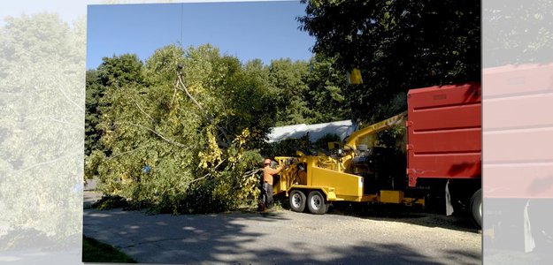 Alexandria Tree Services Unlimited