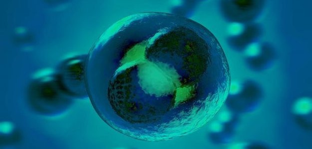 Benefits Of Stem Cell Therapy | Cellquest.com.my