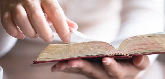 Why You need to Browse the Bible