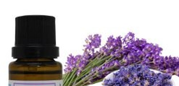 Experience the Finest Bulgarian Lavender Essential Oil