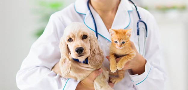Global Animal Healthcare Market Development and Research by 2026