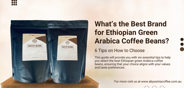 What’s the Best Brand for Ethiopian Green Arabica Coffee Beans? 6 Tips on How to Choose