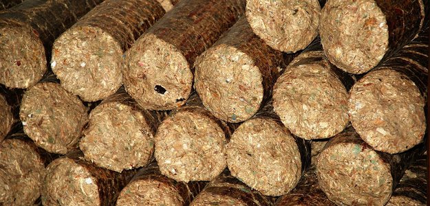 Biomass Fuel Briquettes: A Sustainable Energy Solution by Ecostan