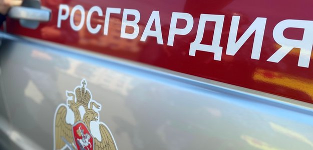Росгвардейцы в Томске задержали мужчину, подозреваемого в открытом хищении из аптеки