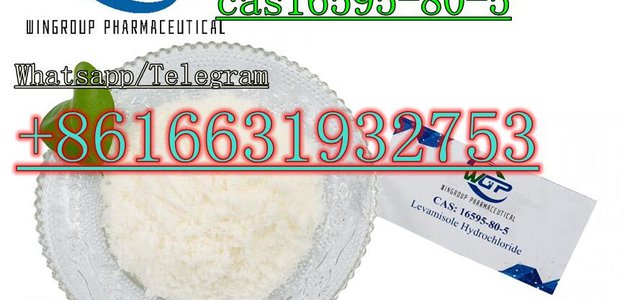 Cas16595-80-5 Levamisole hydrochlorideWith High Purity And Best Price whatsapp +8616631932753