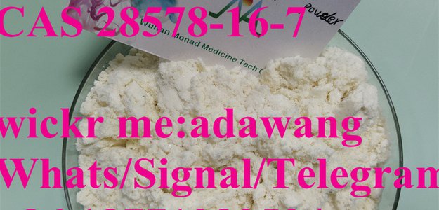 pmk powder cas 28578-16-7 good price and quickly delivery