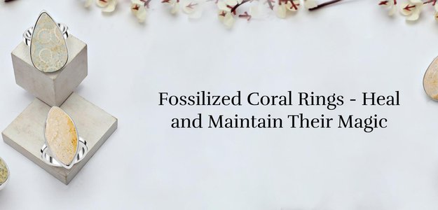 Rings of Fossilised Coral: An Organic Source of Peace and Harmony