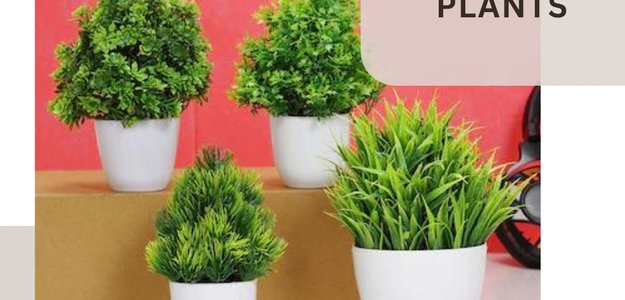 The Ultimate Guide to Choosing Low-Maintenance Artificial Plants