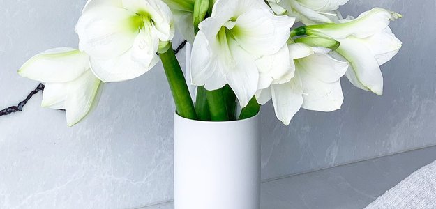 The Advantages of You Receiving Month to month Flower Delivery