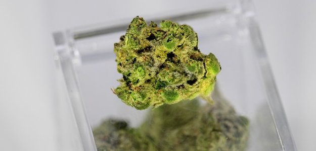 Explore the Benefits of Buying Weed Online
