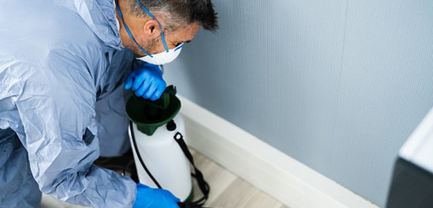 Effective Bed Bug Infestation Treatment Near You | Bed Bug Texas