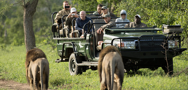 Venture Into the Wild: Uganda Wildlife Adventure Awaits