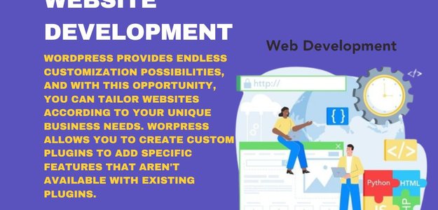 What to Expect from Custom WordPress Website Development?
