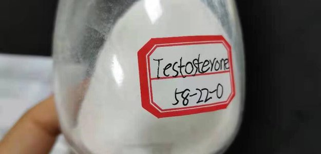 Testosterone CAS58-22-0