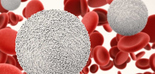 Nk Cell Based Immunotherapies In Cancer | Cellquest.com.my