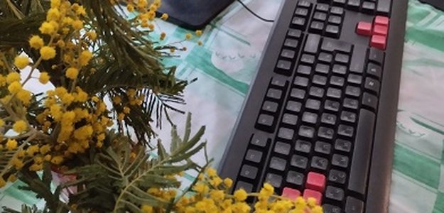 Прислушайтесь к звёздам. Гороскоп на 15 сентября 2024: от элементов новизны – к практике