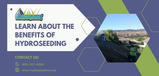 Learn about the benefits of hydroseeding
