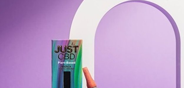 Everything You Need to Know About CBD Oil Cartridges and Vaporizers