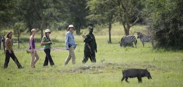 Explore the Beauty of Uganda: Murchison Falls and Beyond