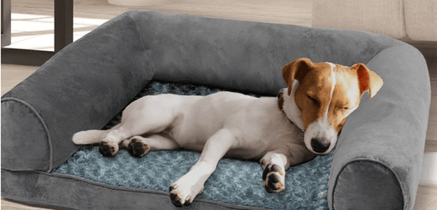 Selecting The Comfortable Pet Bed For Your Pet