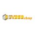 Sv368 Google