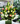 Image for post