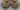 Image for post