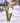 Image for post