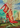 Image for post