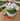 Image for post