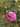 Image for post