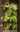 Image for post