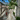 Image for post