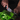 Image for post