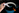 Image for post